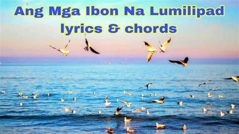 ANG MGA IBON NA LUMILIPAD PLAYLIST .